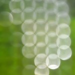 Fot. Kalina Myszkowska