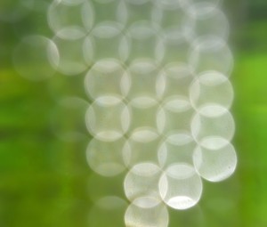 Fot. Kalina Myszkowska