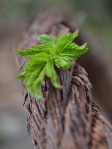 Fot. Kalina Myszkowska