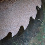 Fot. Kalina Myszkowska