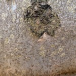 Fot. Kalina Myszkowska