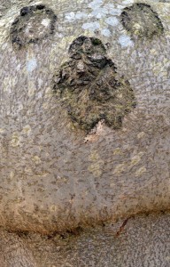 Fot. Kalina Myszkowska