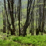 Fot. Kalina Myszkowska