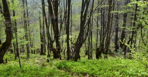 Fot. Kalina Myszkowska