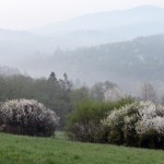 Fot. Kalina Myszkowska