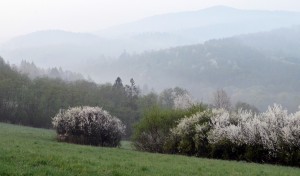 Fot. Kalina Myszkowska