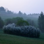 Fot. Kalina Myszkowska