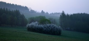 Fot. Kalina Myszkowska