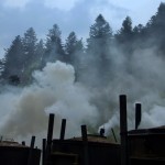 Fot. Karolina Mokrzycka