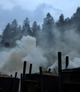 Fot. Karolina Mokrzycka