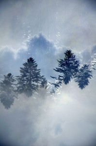 Fot. Karolina Mokrzycka