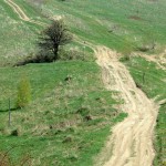 Fot. Karolina Mokrzycka