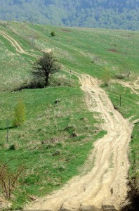 Fot. Karolina Mokrzycka