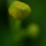 Fot. Karolina Mokrzycka