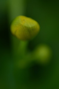 Fot. Karolina Mokrzycka