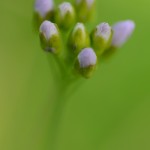 Fot. Karolina Mokrzycka