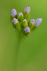 Fot. Karolina Mokrzycka