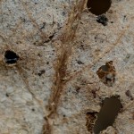 Fot. Karolina Mokrzycka