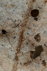 Fot. Karolina Mokrzycka