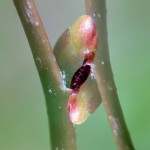 Fot. Karolina Mokrzycka