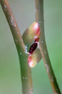 Fot. Karolina Mokrzycka