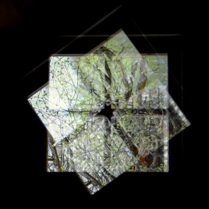 Fot. Karolina Mokrzycka