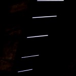 Fot. Karolina Mokrzycka