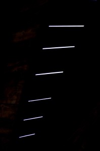 Fot. Karolina Mokrzycka