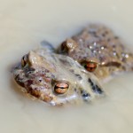 Fot. Karolina Mokrzycka