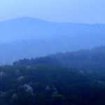 Fot. Karolina Mokrzycka