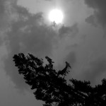 Fot. Karolina Mokrzycka