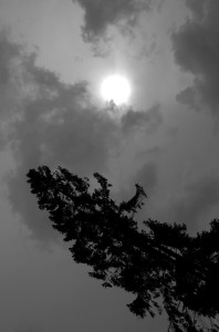 Fot. Karolina Mokrzycka