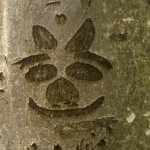 Fot. Magdalena Szutarska