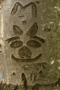 Fot. Magdalena Szutarska