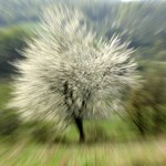 Fot. Magdalena Szutarska