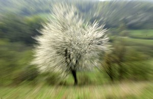 Fot. Magdalena Szutarska