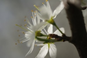 Fot. Magdalena Szutarska