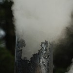 Fot. Magdalena Szutarska