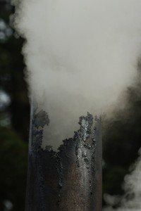 Fot. Magdalena Szutarska