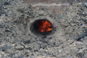 Fot. Magdalena Szutarska