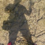 Fot. Magdalena Szutarska