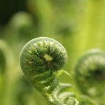 Fot. Magdalena Szutarska