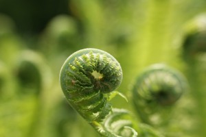 Fot. Magdalena Szutarska