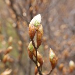 Fot. Magdalena Szutarska