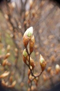 Fot. Magdalena Szutarska