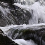 Fot. Magdalena Guzik