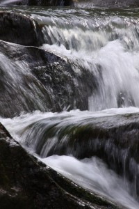 Fot. Magdalena Guzik