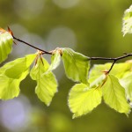 Fot. Magdalena Guzik