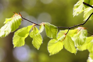 Fot. Magdalena Guzik