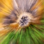 Fot. Magdalena Guzik